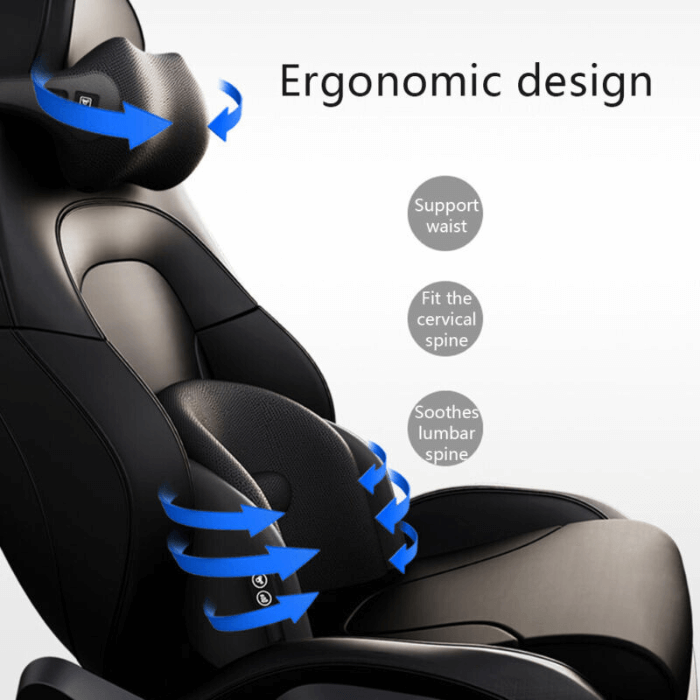 Lumbar Support Cushion for Car - Ergonomic Comfort on the Go – The ...